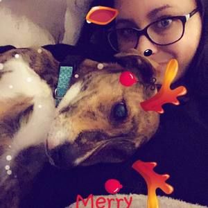 Meet your Posher, Tara